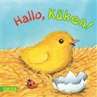 Gisela Fuhrmann - Mein Buggy-Buch: Hallo, Küken!