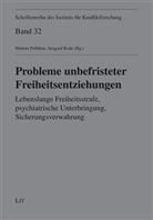Axel Dessecker, Jörg Kinzig, Sabine Nowara, Günter Tondorf, Heribert Waider, Ines Woynar... - Probleme unbefristeter Freiheitsentziehungen