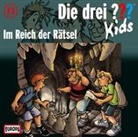 Die drei ??? Kids (Folge 13) - Im Reich der Rätsel (Audiolibro)