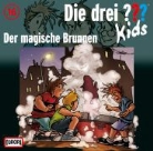 Der magische Brunnen (Audiolibro)