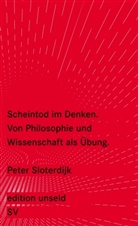 Peter Sloterdijk - Scheintod im Denken