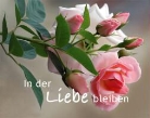 Pau Gerlach, Paul Gerlach - In der Liebe bleiben