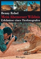 Benny Rebel - Terra magica Mein Abenteuer Wildnis