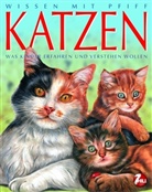 Agnès Vandewiele - Katzen