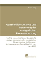 Andreas König - Ganzheitliche Analyse und Bewertung der energetischen Biomassenutzung