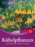 Maria Sansoni-Köchel - Kübelpflanzen