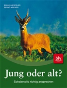 Bruno Hespeler, Bernd Krewer - Jung oder alt?