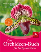 Brigitte Goede - Das Orchideen-Buch für Fortgeschrittene
