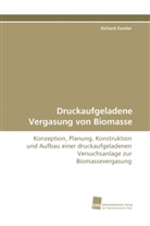 Richard Zweiler - Druckaufgeladene Vergasung von Biomasse