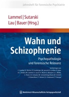 Michael D. Bauer, Lamme, Matthias Lammel, Steffen Lau, Lau (Dr. med. ) u a, Sutarsk... - Wahn und Schizophrenie