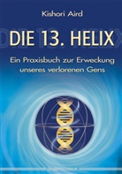 Kishori Aird - Die 13. Helix