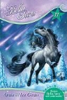 Felicity Brown, Jennifer L. Meyer - Amia and the Ice Gems