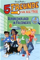 Enid Blyton - 5 Freunde für alle Fälle - Bd.3: 5 Freunde für alle Fälle, Verbrecherjagd ain Falcongate