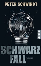 Peter Schwindt - Schwarzfall