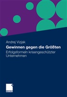 Andrej Vizjak - Gewinnen gegen die Größten