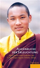 17 Karmapa, 17. Karmapa, Karmapa Ogyen Trinley Dorje, Michele Martin - Augenblicke der Erleuchtung