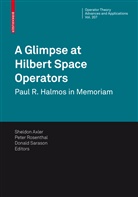 Sheldon Axler, Pete Rosenthal, Peter Rosenthal, Donald Sarason - A Glimpse at Hilbert Space Operators