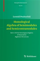 Leonid Positselski - Homological Algebra of Semimodules and Semicontramodules