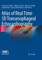 Stefano De Castro, Stefan de Castro, Stefano de Castro, Francesco Faletra, Francesco F Faletra, Francesco F. Faletra... - Atlas of Real Time 3D Transesophageal Echocardiography, w. CD-ROM