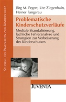 Fangerau, Hein Fangerau, Heiner Fangerau, Fegert, Jörg Fegert, Jörg M Fegert... - Problematische Kinderschutzverläufe