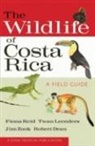 Robert Dean, Twan Leenders, Fiona Reid, Fiona A Reid, Fiona A. Reid, Fiona A./ Leenders Reid... - The Wildlife of Costa Rica