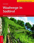 Gianni Bodini, Gianni Gianni Bodini - Waalwege in Südtirol
