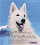 Dölle, Döllen, Gaby vo Döllen, Gaby von Döllen, Peter von Döllen - Weiße Schweizer Schäferhunde