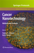 Stephen R. Grobmyer, M Moudgil, M Moudgil, Brij M. Moudgil, Stephe R Grobmyer, Stephen R Grobmyer - Cancer Nanotechnology