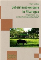 Sigrid Lamberg - Subsistenzökonomie in Nicaragua