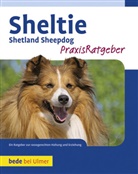 Charlotte Schwartz - Sheltie