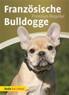 Annette Schmitt - Französische Bulldogge