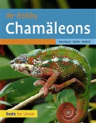 Domin Kieselbach, Dominik Kieselbach, Rol Müller, Rolf Müller, Ulrik Walbröl, Ulrike Walbröl - Chamäleons