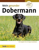Lowell Ackerman - Mein gesunder Dobermann