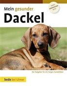 Lowell Ackerman - Mein gesunder Dackel