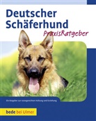 Susanne Samms - Deutscher Schäferhund