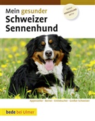 Dominik Kieselbach - Mein gesunder Schweizer Sennenhund