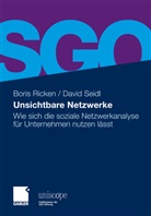 Bori Ricken, Boris Ricken, David Seidl - Unsichtbare Netzwerke