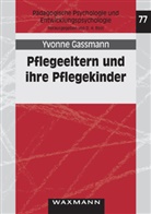 Yvonne Gassmann, Detlef H. Rost - Pflegeeltern und ihre Pflegekinder