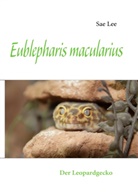 Sae Lee - Eublepharis macularius
