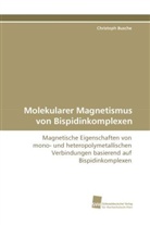 Christoph Busche - Molekularer Magnetismus von Bispidinkomplexen