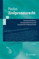 Christoph G. Paulus - Zivilprozessrecht
