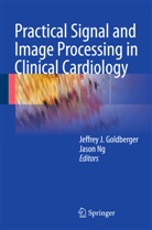 Jeffrey J Goldberger, Jeffrey J. Goldberger, Jeffre J Goldberger, Jeffrey J Goldberger, Ng, Ng... - Practical Signal and Image Processing in Clinical Cardiology