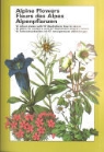 Alpine Flowers / Fleurs des Alpes / Alpenpflanzen