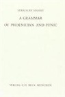 Stanislav Segert - A Grammar of Phoenician and Punic
