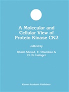 Khalil Ahmed, E. Chambaz, Olaf-Georg Issinger - A Molecular and Cellular View of Protein Kinase CK2