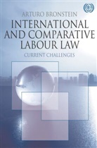Arturo Bronstein, Arturo S. Bronstein - International and Comparative Labour Law
