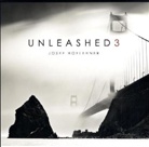 Josef Hoflehner - Unleashed 3