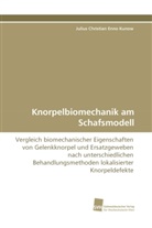 Julius Christian Enno Kunow - Knorpelbiomechanik am Schafsmodell