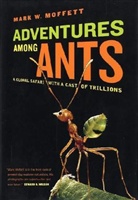 Mark W. Moffett - Adventures Among Ants