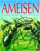 Bernard Alunni, Marie-Christine Lemayeur - Ameisen